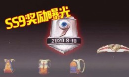 最新爆料ss9赛季,揭秘新赛季亮点与变革，战队布局与战术解析